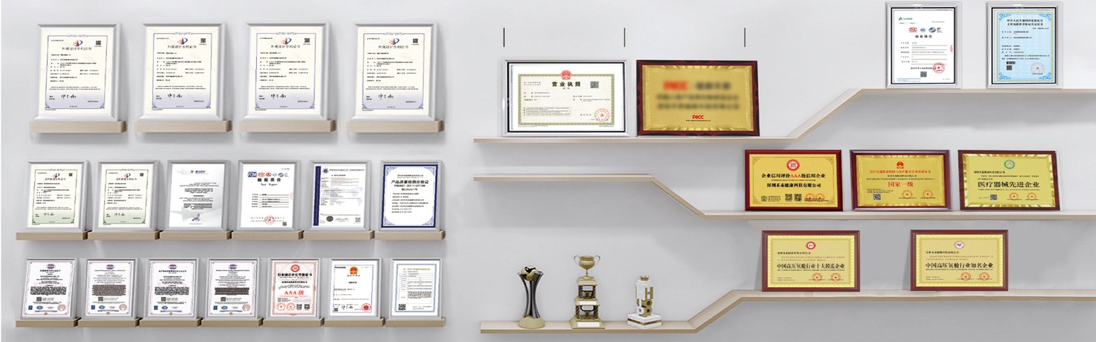 Corporate Qualifications and Certificates